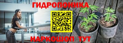 Альфа ПВП Гусиноозёрск