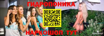 ECSTASY Гусев