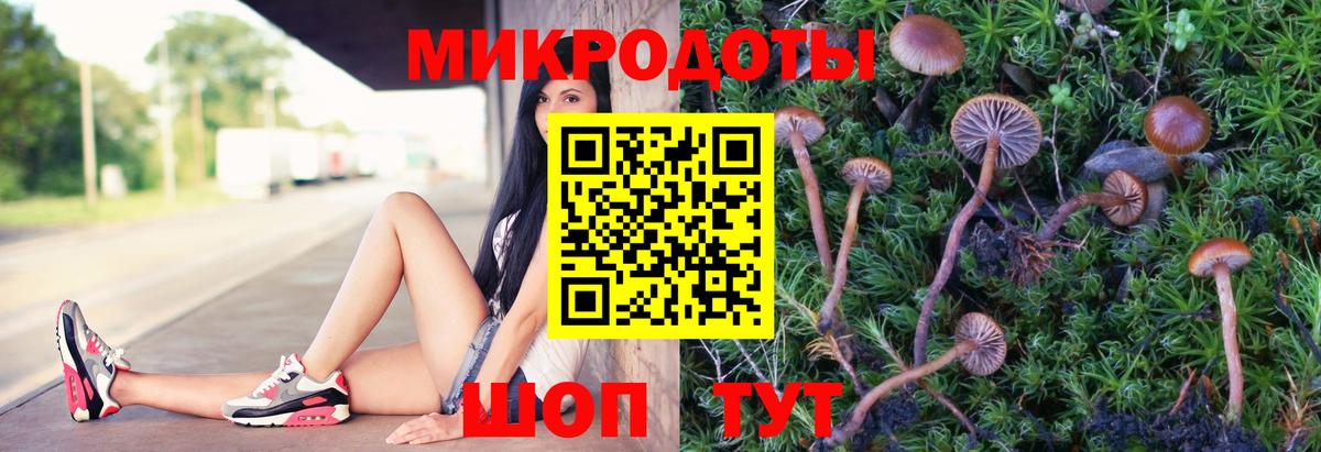 Псилоцибиновые грибы MAGIC MUSHROOMS  Вход с VPN  Галлюциногенные грибы ЛСД  Киров 